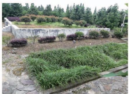 浙江省紹興市東湖鎮(zhèn) 、 嵊州市甘霖鎮(zhèn) 200t/d、150t/d污水處理站